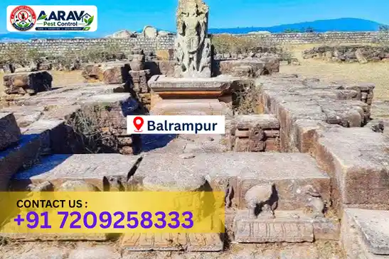 balrampur pest control, pest control in balrampur, pest control service balrampur, pest control company in balrampur, best pest control balrampur, home pest control balrampur, commercial pest control balrampur, termite control in balrampur, termite treatment balrampur, cockroach control balrampur, mosquito control balrampur, bed bug control balrampur, rat control balrampur, lizard control balrampur, ant control balrampur, general pest control balrampur, pest management balrampur, pest control price balrampur, balrampur pest control price list, price list in balrampur, pest control company in balrampur, termite control in balrampur, affordable pest control balrampur, professional pest control balrampur, pest control near me balrampur, pest control services balrampur uttar pradesh, aarav pest control balrampur, aarav pest control in balrampur, aarav pest control uttar pradesh.